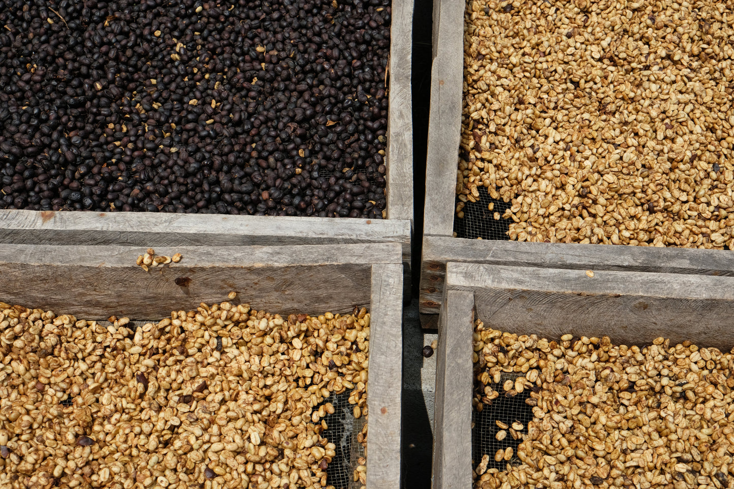 Corazón Oscuro - Dark Roast Blend