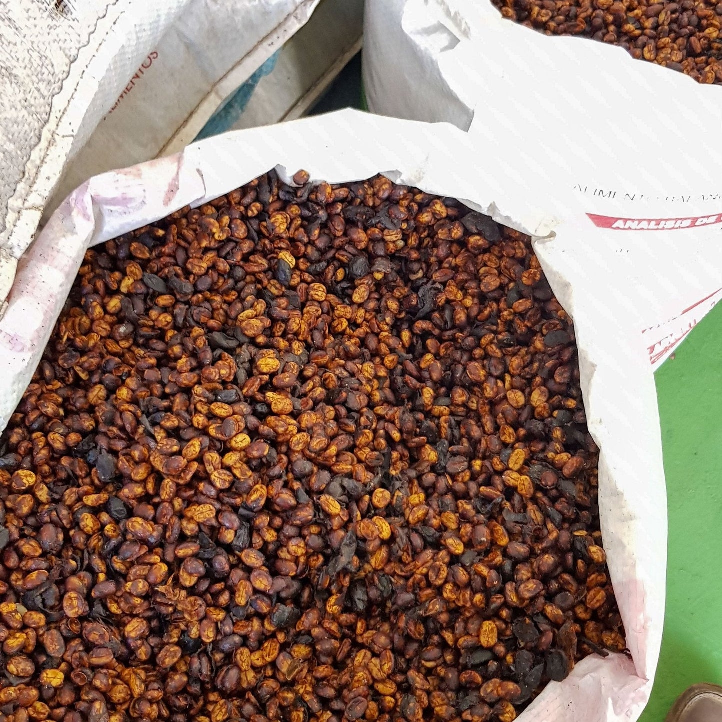 Optimist Coffee Las Lajas Red Honey Filterkaffee – Arabica Specialty Coffee aus Costa Rica (Caturra)