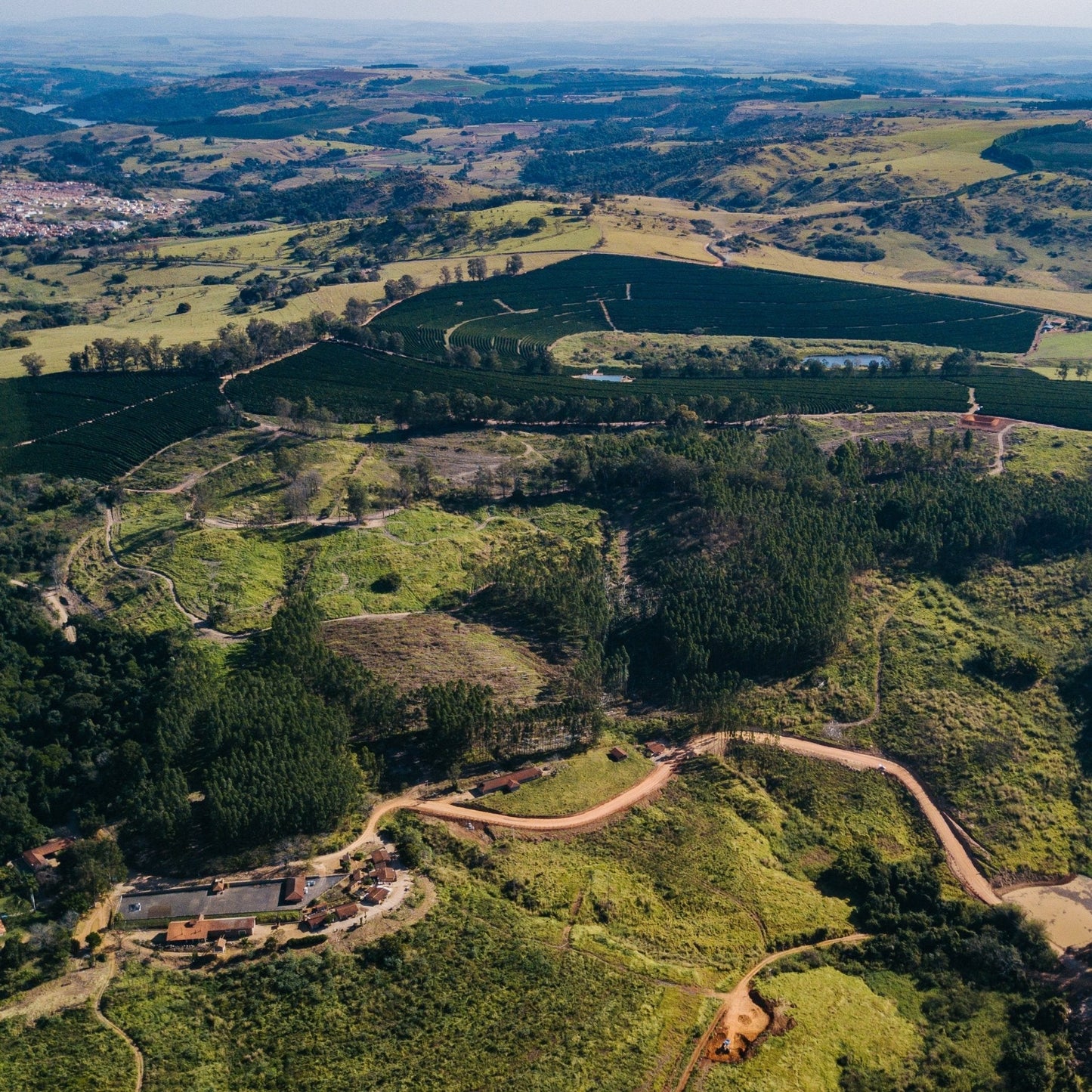 PINHEIRO FILTER - Brasilien Filterkaffee, Schokoladig & Cremig