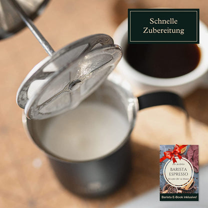 Manueller Hand-Milchaufschäumer aus Edelstahl mit Doppelsieb