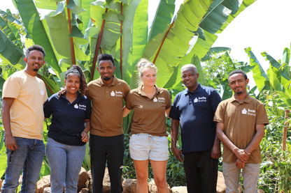 Filter Coffee - Syoum Family - Heirloom Natural
