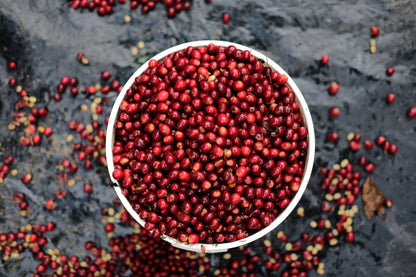 Espresso - Silvio Sánchez - Catuai Natural