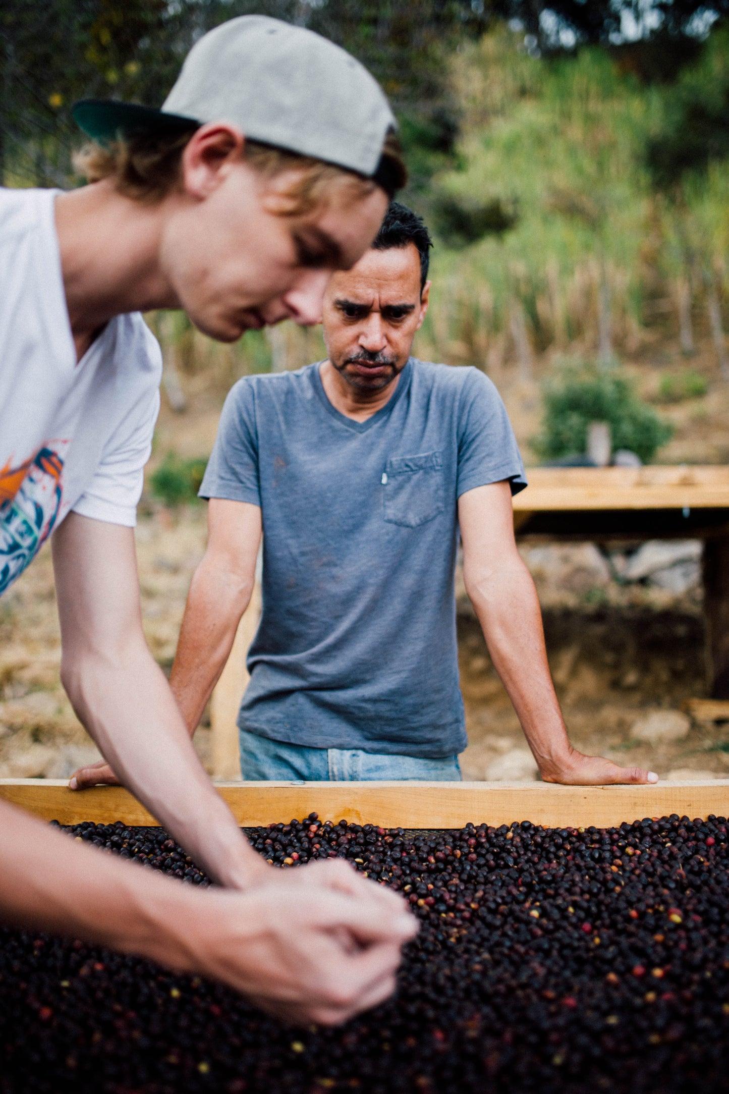 Filter Coffee - Jorge Vásquez - Catuai Natural