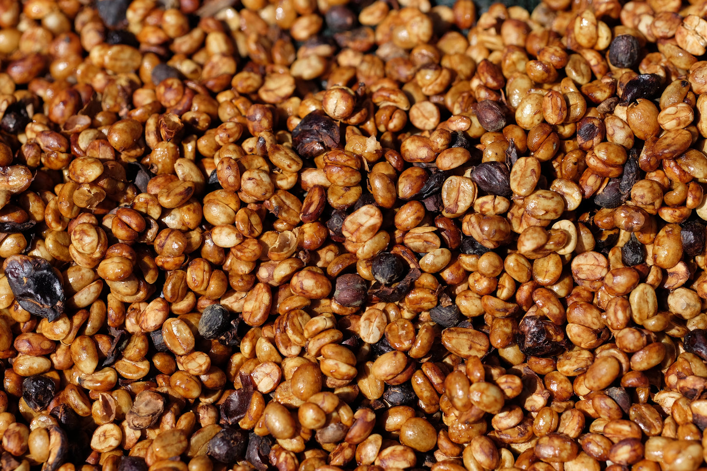 Corazón Oscuro - Dark Roast Blend