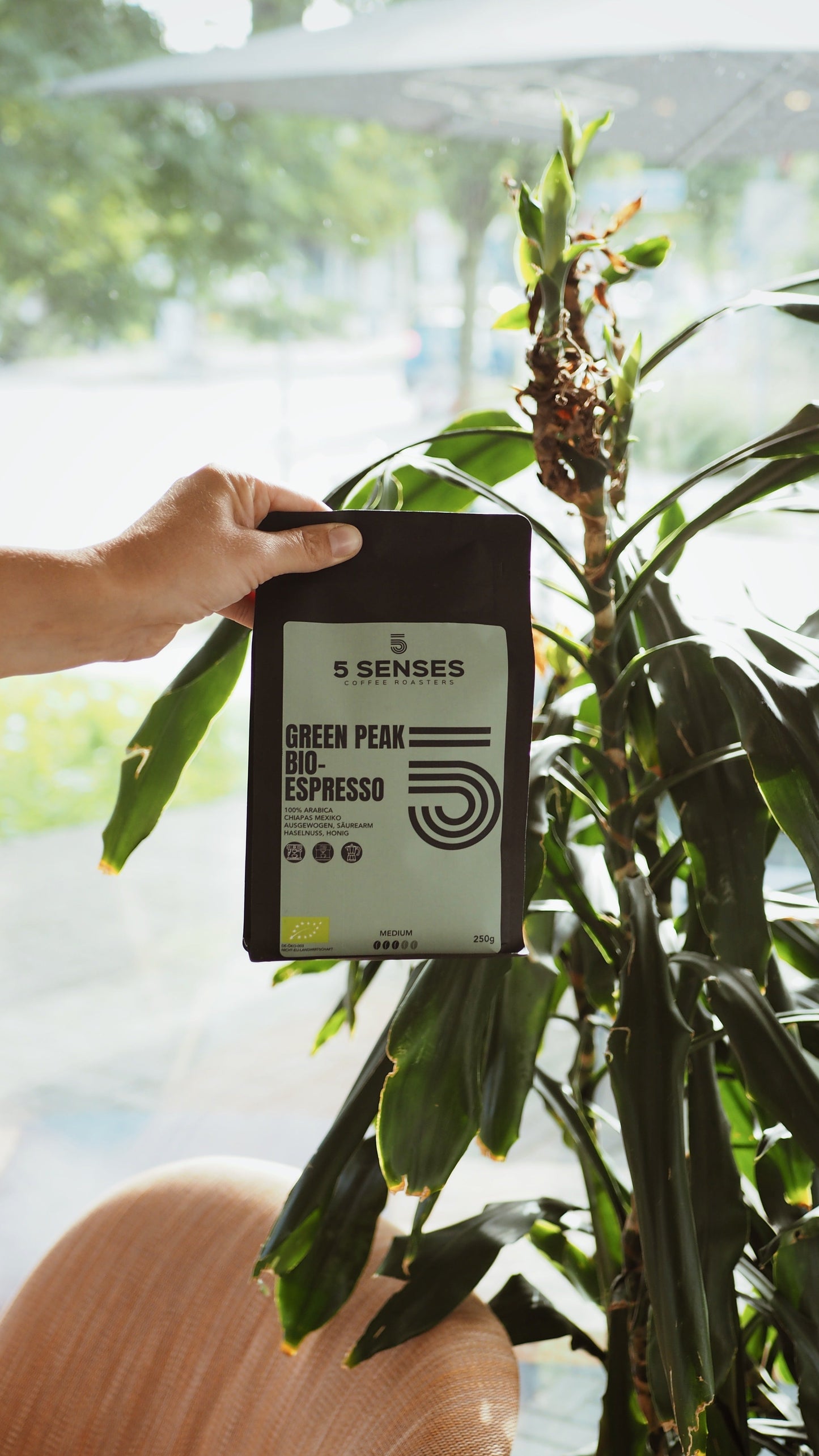 5 Senses Coffee Espresso Green Peak Bio – Arabica Espresso Bohnen aus Mexiko Chiapas (Medium Roast)