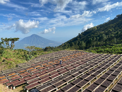 Corazón Oscuro - Dark Roast Blend