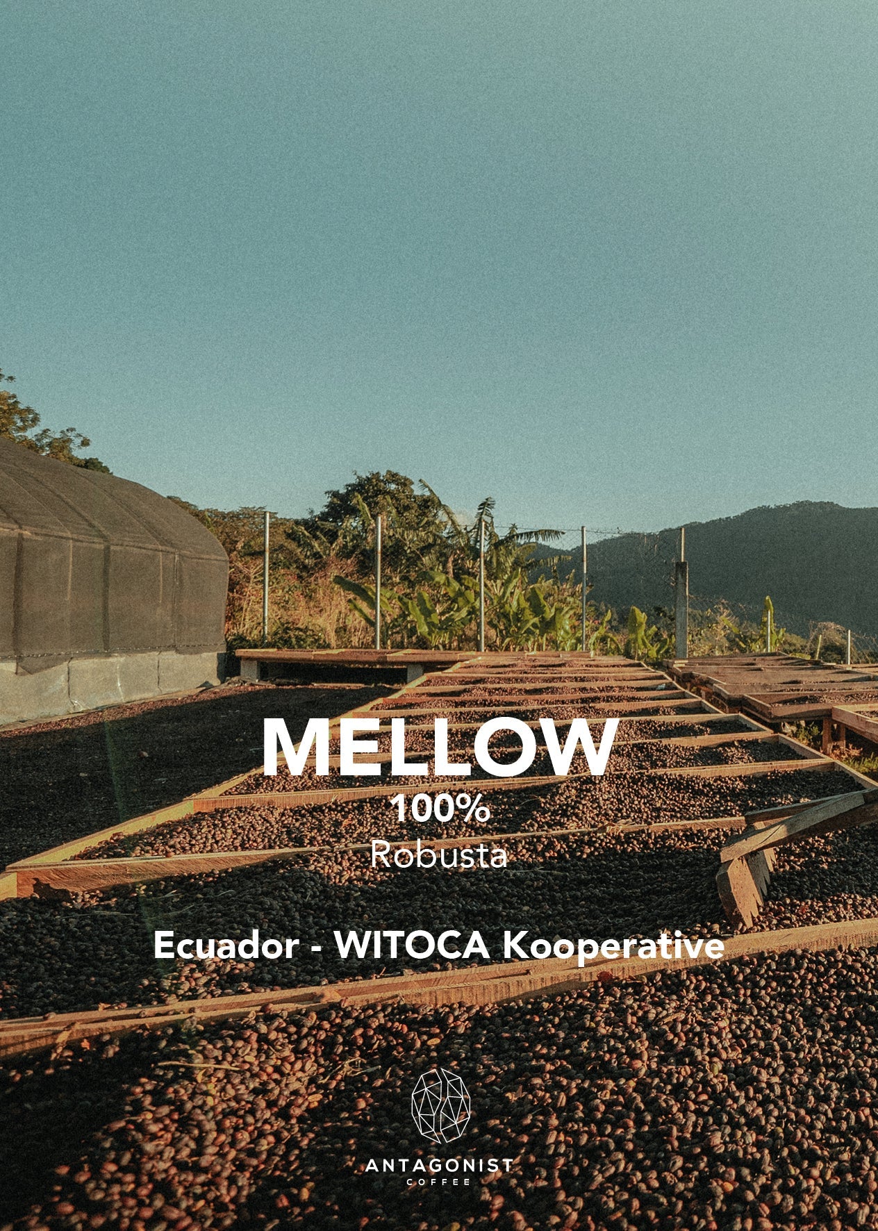 Espresso Mellow – kraftvoll, cremig und süß-würzig