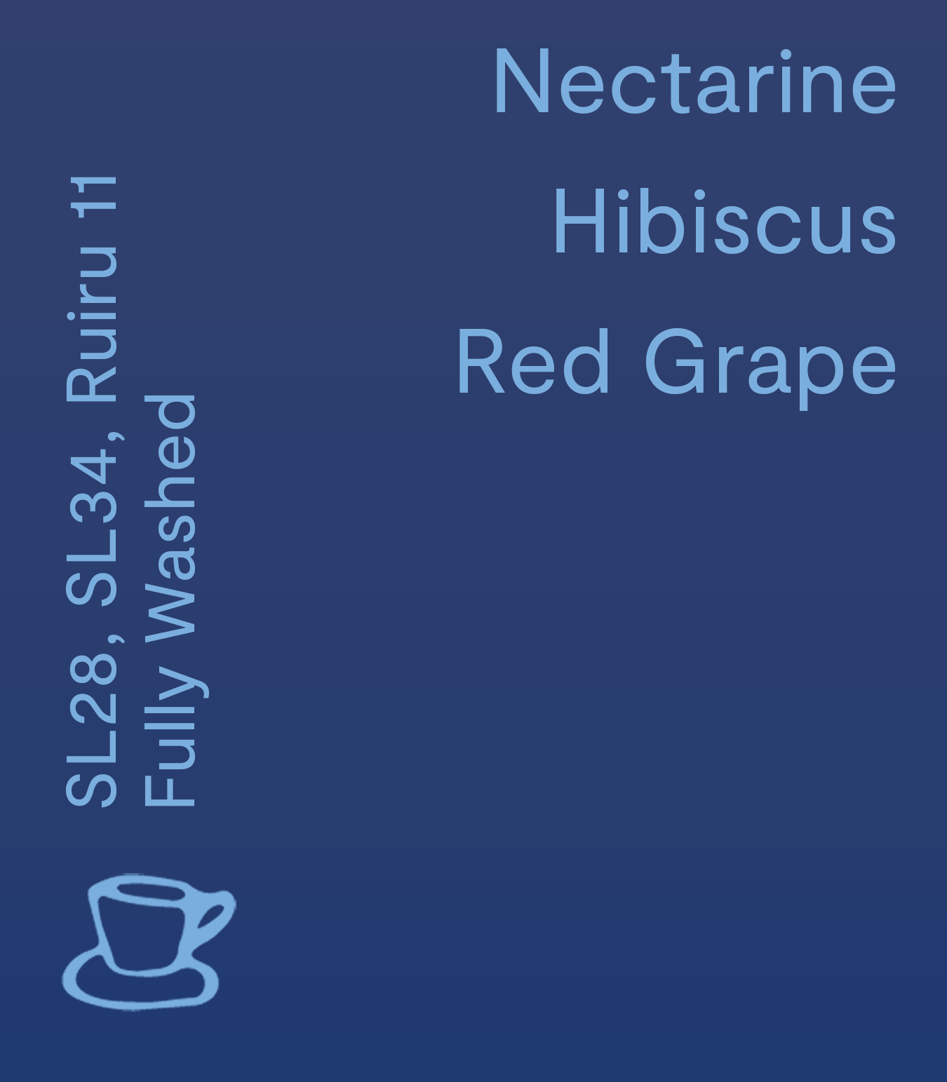 Mutheru AA, Kenya - Filter