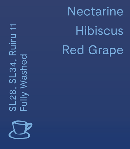 Mutheru AA, Kenya - Filter