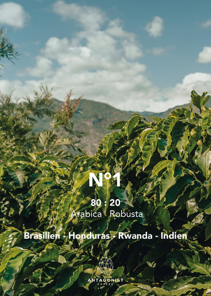 Espresso Blend N°1 - Harmonisch - Dunkle Beeren, Mandel, Kakao