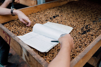 Costa Rica - Diego Robelo - Centroamericano Anaerobic Natural