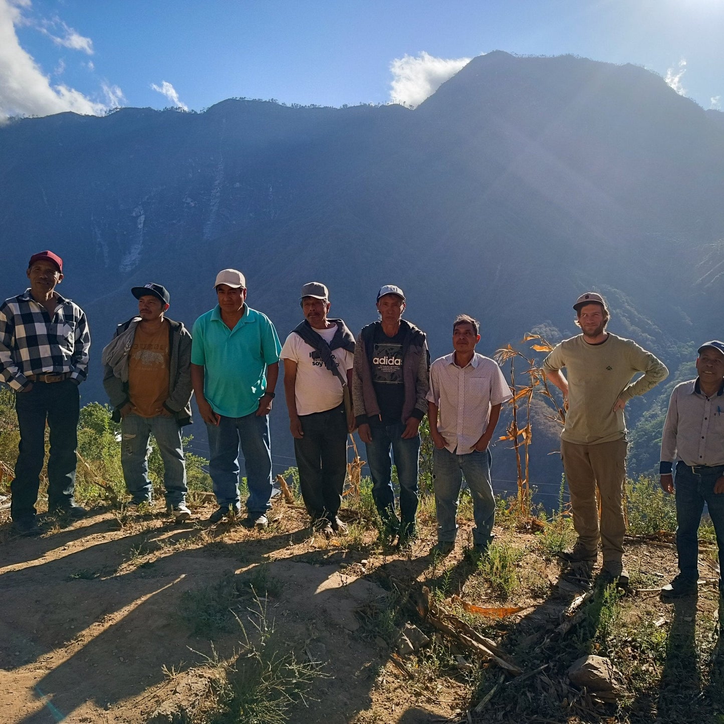 DECAF OMNIROAST - Entkoffeinierter Kaffee aus Oaxaca, Schokoladig & Vollmundig