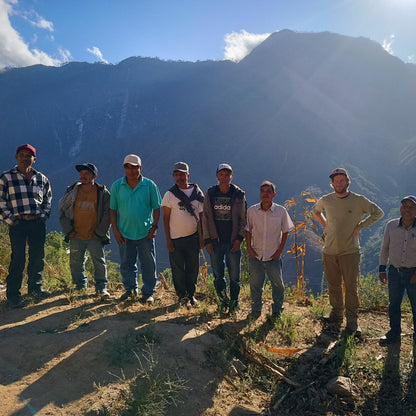 DECAF OMNIROAST - Entkoffeinierter Kaffee aus Oaxaca, Schokoladig & Vollmundig