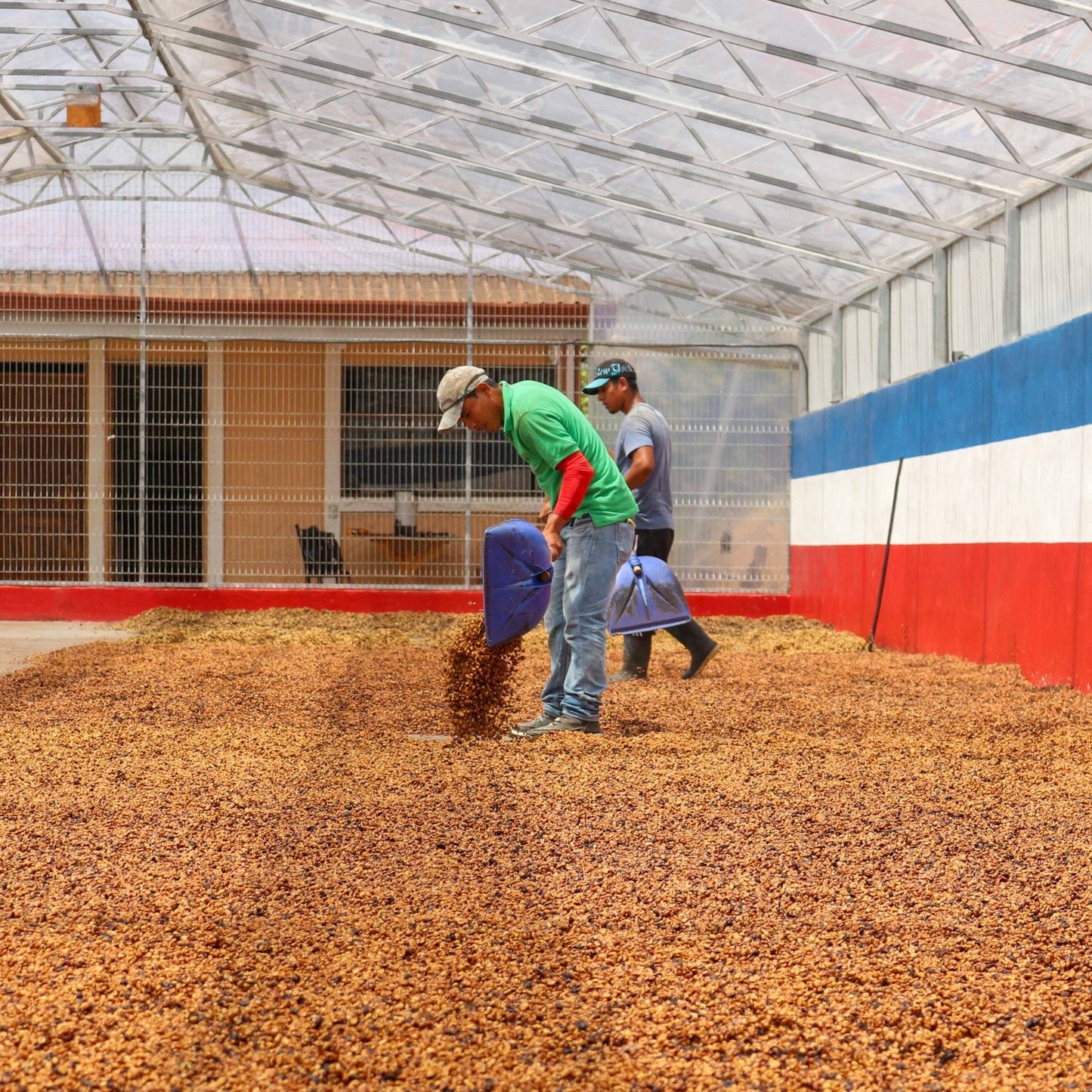 LAS LAJAS Red Honey – Costa Rica Filterkaffee, Süß & Cremig