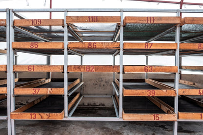 Espresso- Diego Robelo - Grand Peaberry Washed